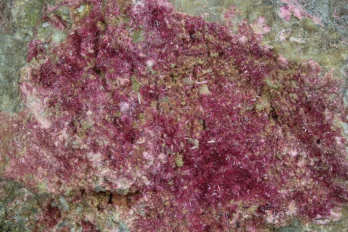 Fibrous Roselite Crystals on Matrix - Morocco #74302